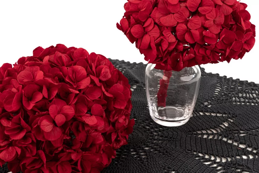 Preserved Hydrangea Red