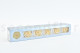 Preserved Rose XL Champagne (set of 6) 8