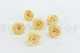 Preserved rose Kiara XL - Box of 6 - Champagne 5