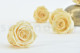 Preserved rose Kiara XL - Box of 6 - Champagne 2