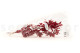 Preserved Japanese Maple Red 10