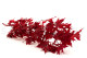 Preserved Japanese Maple Red 4