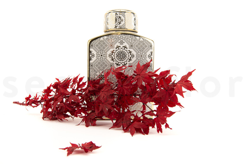 Preserved Japanese Maple - Red