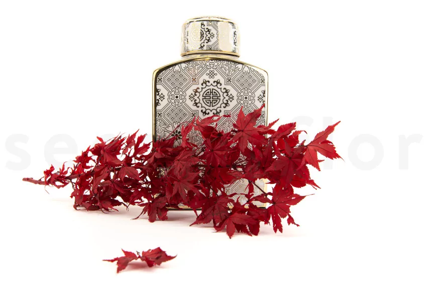 Preserved Japanese Maple Red