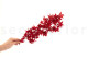 Preserved Japanese Maple Red 3