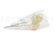 Preserved Hydrangea Grandiflora White (set of 2) 9