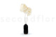 Preserved Hydrangea Grandiflora White (set of 2) 5