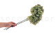 Preserved Hydrangea Grandiflora - 2 stems - Oregano Purple 3