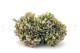 Preserved Hydrangea Grandiflora Oregano Purple (set of 2) 8