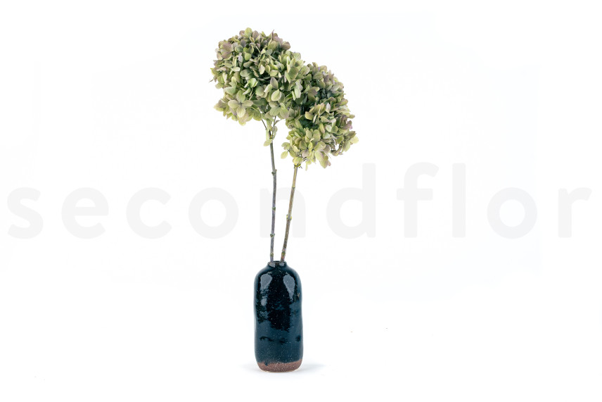Preserved Hydrangea Grandiflora - 2 stems - Oregano Purple
