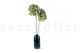 Preserved Hydrangea Grandiflora Oregano Purple (set of 2) 5