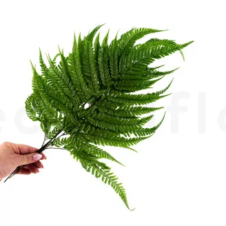 Preserved Large Fern UV Resistant (set of 5)