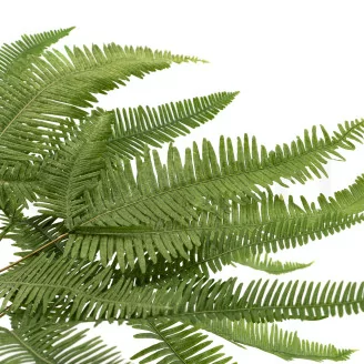 Preserved Mountain Fern UV Resistant