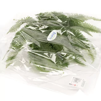 Preserved Mountain Fern UV Resistant