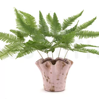 Preserved Mountain Fern UV Resistant