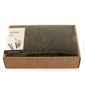 Preserved Air Fern Green (Creabox M)