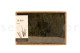 Preserved Air Fern Green (Creabox M) 2