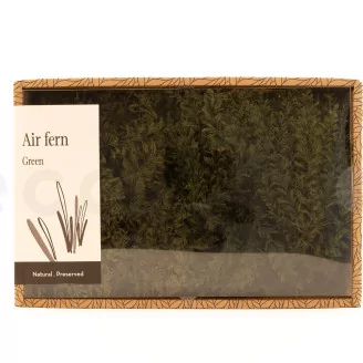 Preserved Air Fern Green (Creabox M)