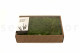 Preserved Air Fern Light Green (Creabox M) 5