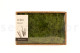 Preserved Air Fern Light Green (Creabox M) 2
