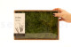 Preserved Air Fern Light Green (Creabox M) 6