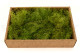 Preserved Air Fern Light Green (Creabox M) 4