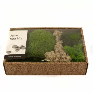 Preserved Moss Mix (Creabox M)