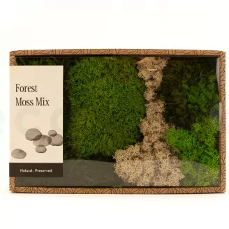 Preserved Moss Mix (Creabox M)