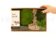 Preserved Moss Mix - Creabox M 5