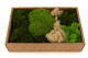 Preserved Moss Mix - Creabox M 3