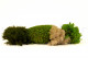 Preserved Moss Mix - Creabox M 2