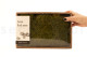 Preserved Rock Moss - Creabox M - Green 5
