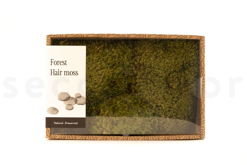 Preserved Hair Moss - Creabox M - Light Green