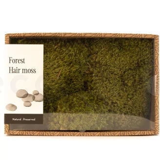 Preserved Hair Moss (Creabox M)
