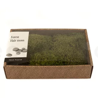 Preserved Hair Moss (Creabox M)