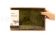 Preserved Hair Moss - Creabox M - Light Green 4