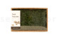 Preserved Fern Moss - Creabox M - Green 1