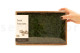 Preserved Fern Moss - Creabox M - Green 5