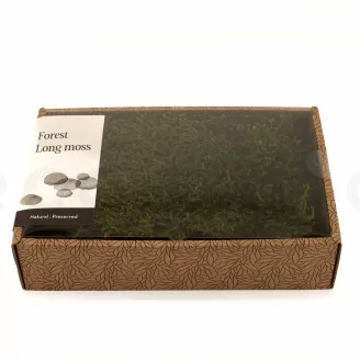 Preserved Long Moss (Creabox M)