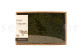 Preserved Long Moss - Creabox M - Green 1