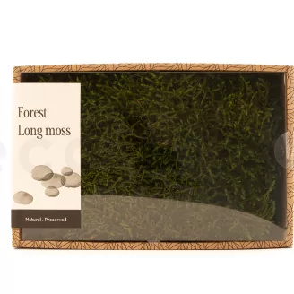 Preserved Long Moss (Creabox M)
