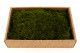 Preserved Long Moss - Creabox M - Green 3