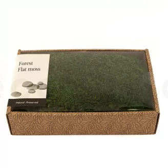 Preserved Sheet Moss (Creabox M)