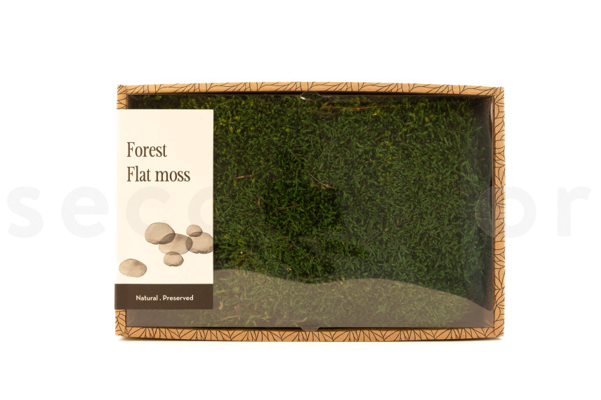 Preserved Sheet Moss - Creabox M - Green