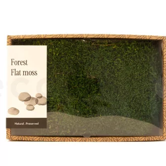 Preserved Sheet Moss (Creabox M)