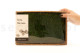 Preserved Sheet Moss - Creabox M - Green 5