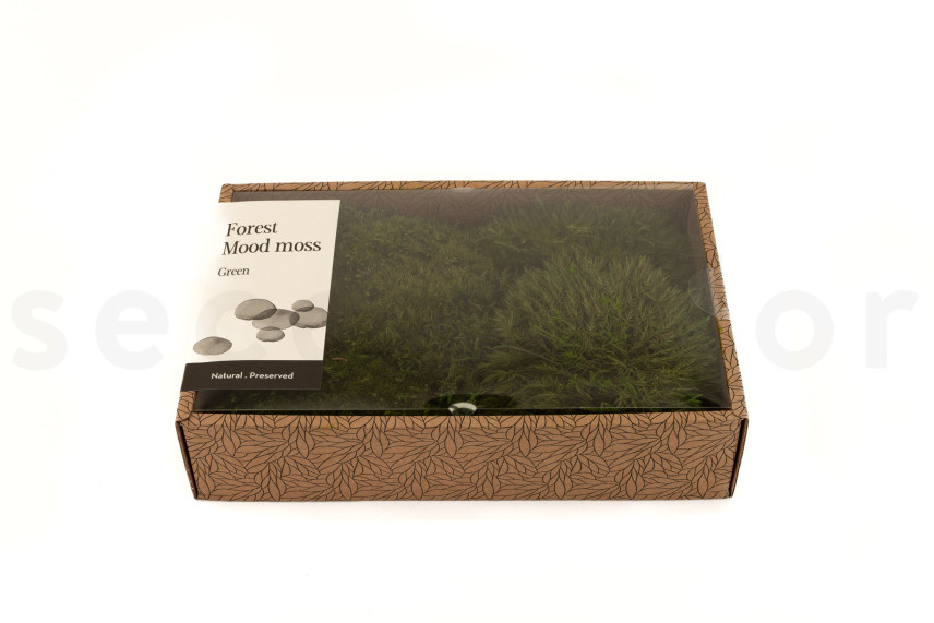 Preserved Mood Moss - Creabox M - Nature Green