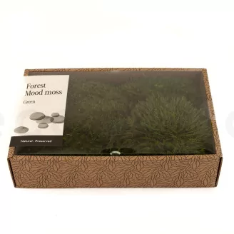 Preserved Mood Moss Nature Green (Creabox M)
