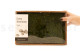Preserved Mood Moss - Creabox M - Nature Green 5