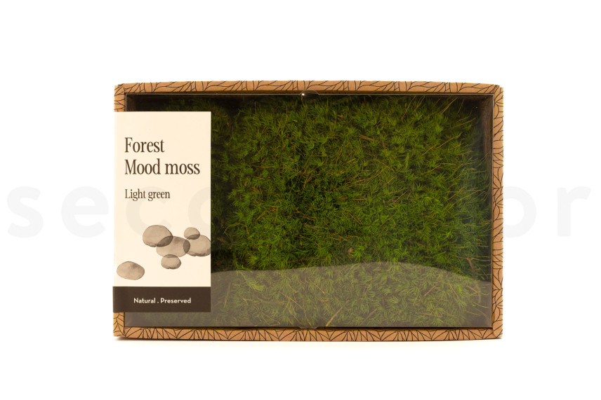 Preserved Mood Moss - Creabox M - Light Green